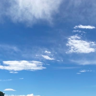 いすみさんのプロフィール画像