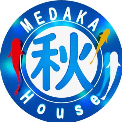 めだか秋house Yukito Twitter めだか秋house Yukito Twitter