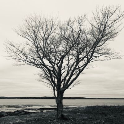 M0reThanC0nquer's profile picture. Romans 8:37 (ESV) …in all these things we are more than conquerors through him who loved us.