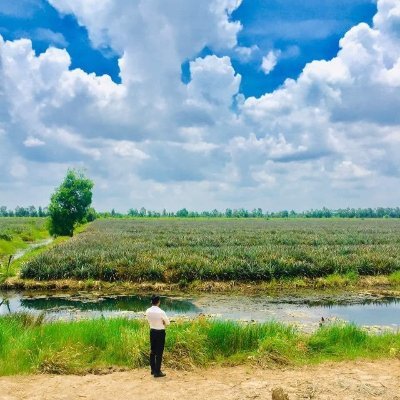 TraciLilTrail's profile picture. 