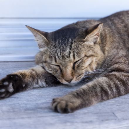 MinaseTakehara's profile picture. メモ用