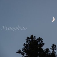 NyaoPhoto(@NyaoPhoto) 's Twitter Profile Photo