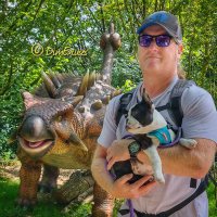 Mark Blackmore (@dimexcuses) 's Twitter Profile Photo