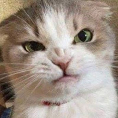 Muhamma75260702's profile picture. 