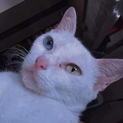 Subang_bang23's profile picture. Hey😌