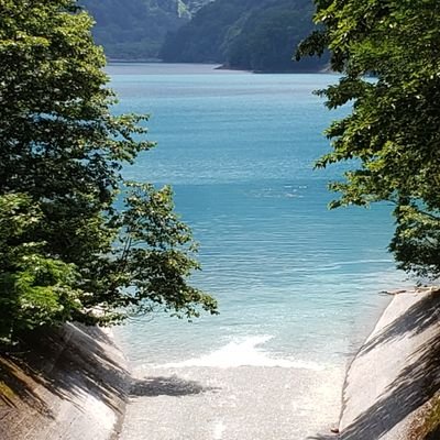 349fa38cd7d44fb's profile picture. 