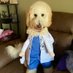 Dogtor Genie (@dogtor_genie) Twitter profile photo Dogtor Genie (@dogtor_genie) Twitter profile photo