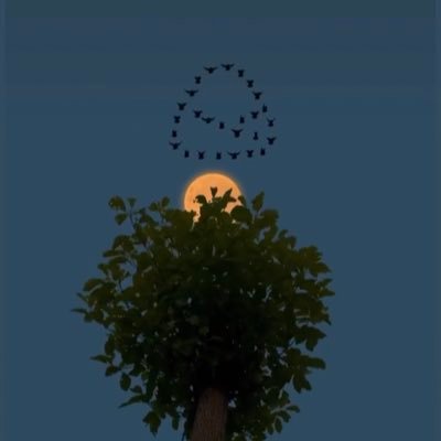 nunana_vinxs9's profile picture. Simple live