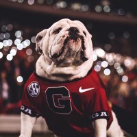 Dawg in Houston (@dawg_in_houston) 's Twitter Profile Photo