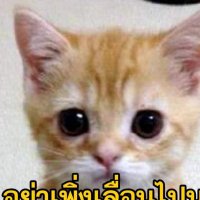 lym-f (@calllymfhot) 's Twitter Profile