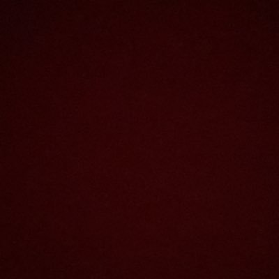 wavy0nly1x's profile picture. 