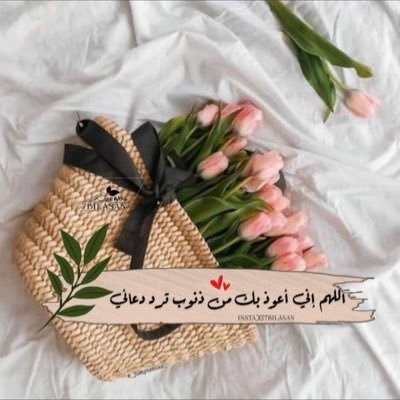 ThamerAlanazy's profile picture. اللهم زدنا و لا تنقصنا