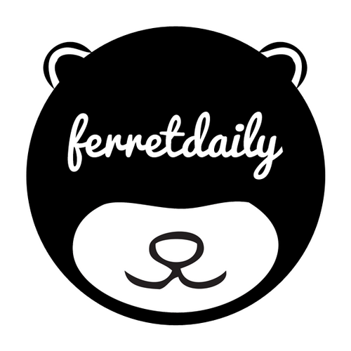 ferretdaily's profile picture. The Ferret Blog. What’s new, what’s old, and what’s up with ferrets.