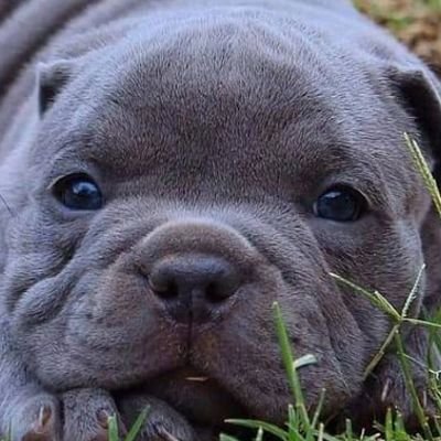 YanvitorioS's profile picture. 😁😈👍