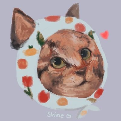 aoj1ruさんのプロフィール画像