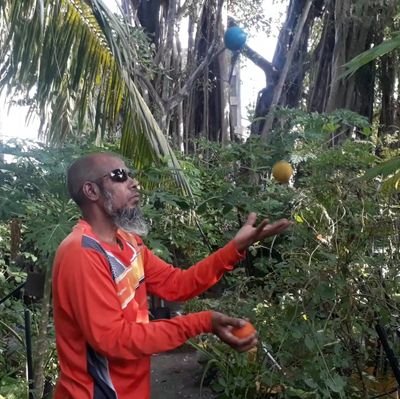 ahmedsawaad's profile picture. Founder member of Jamiyyathul Qalam (@jqalam) a NGO from ADh. Dhangethi.