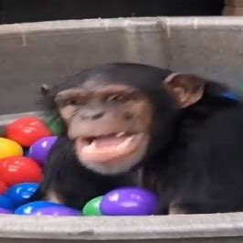 paid_actor_34's profile picture. the drums, the walls, the hands, the falls