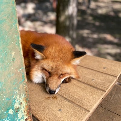 2fMAbh1L3qPeJIj's profile picture. 音楽、ギター、ライブ、ランニング