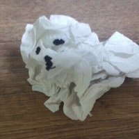 νμ‘°μ (@gnwhtl) 's Twitter Profile Photo νμ‘°μ (@gnwhtl) 's Twitter Profile Photo