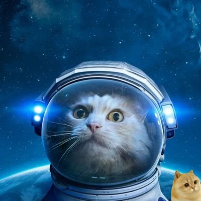 Skrezio1's profile picture. Bo!!