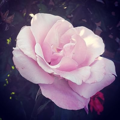 luv2kayak2's profile picture. 🇨🇦