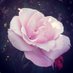 CC (@luv2kayak2) Twitter profile photo CC (@luv2kayak2) Twitter profile photo