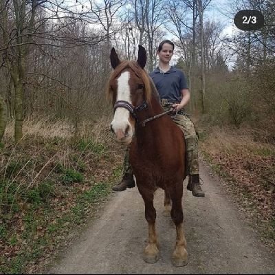BestienBoris's profile picture. 