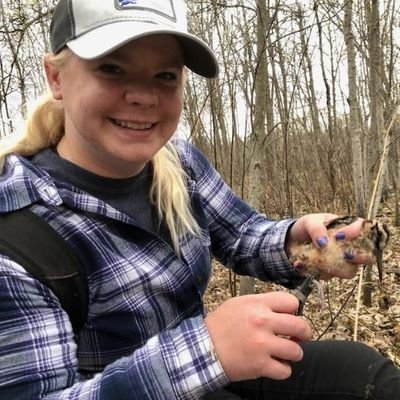 PhD Candidate in @Aero_Eco at @OU_Biology studying AMWO courtship preferences, views my own, permitted fieldwork