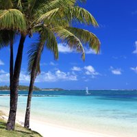 Mauritius (@mauritius) 's Twitter Profile