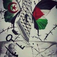 العابد جايلان (@xqgvxeolt1br0wp) Twitter profile photo