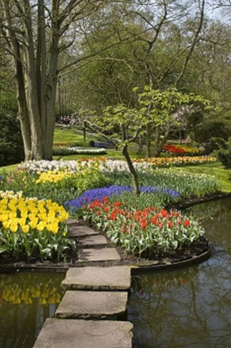 selectivedesign's profile picture. Selective Designs is a creative design / build firm for beautiful outdoor spaces of all unique tastes.