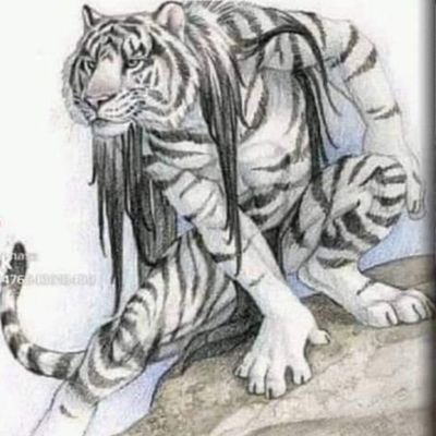 as22022000's profile picture. Bismillah