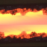 Jauq (@jauqmusic) 's Twitter Profile Photo