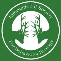ISBE2020's profile picture. For information on ISBE2022, please follow @ISBE2022 and register your interest on website below