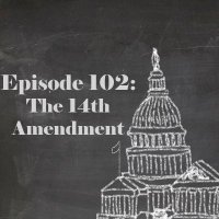 The Fourteenth Amendment (@usconstamendxiv) 's Twitter Profile