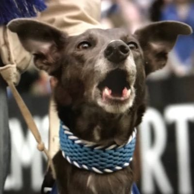 Patrick_Reeeeed's profile picture. Huge Ted Lasso fan and consider myself a sarcasm savant. I’ve written a book or two, you’ll never see them.