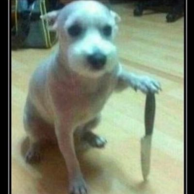 csboss11's profile picture. 