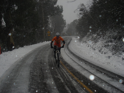 mainlinecycles1's profile picture. 