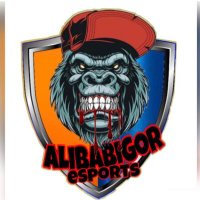 ALIBABIGOR eSPoRTs (@alibabigor1) 's Twitter Profile