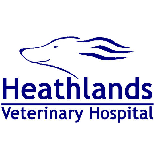 Heathlands is an RCVS accredited, purpose-built veterinary centre based just outside of Wool, surrounded by Dorset countryside and stunning views.