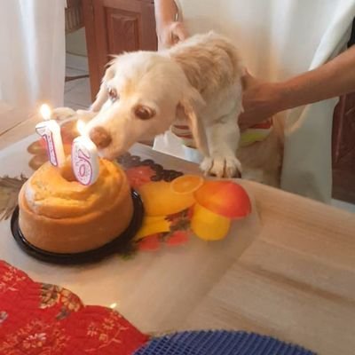 keilanue's profile picture. 