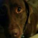 Karla Frank - @heyheykarla - Twitter