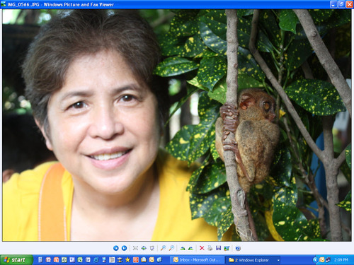 Cheppsy's profile picture. 