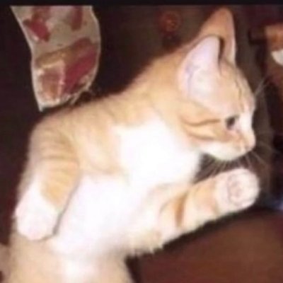 saumerr's profile picture. she/they • semi rt-heavy • sampard/gepo lover • posts threadfics • mostly nsfw • saumerr on ao3