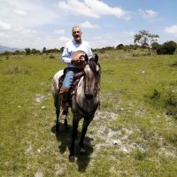 Franco Rodríguez (@francor01) 's Twitter Profile
