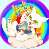 私が噂の秒速で野良猫を捕まえるきのこ猫 (@kinokoepr) 's Twitter Profile