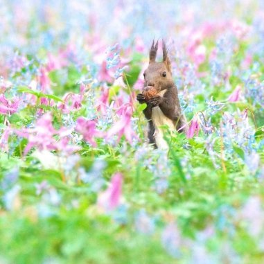 ckw8XyIUwg6XGOn's profile picture. 