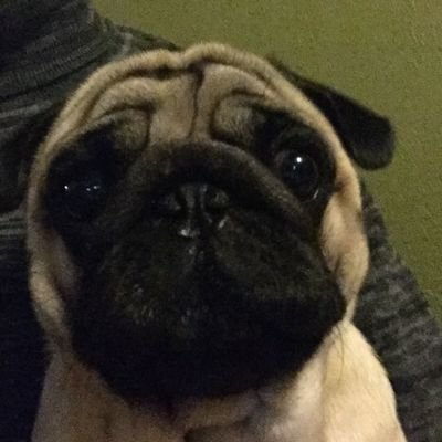 keerthan_dinesh's profile picture. 