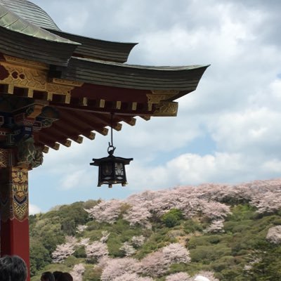 hakuyo58940's profile picture. 趣味用 垢