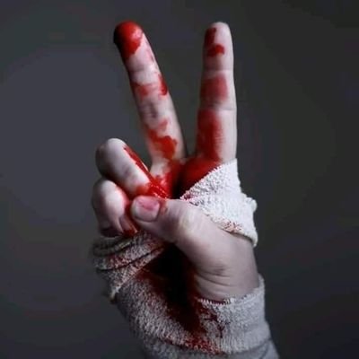 SindhiMushtaq3's profile picture. 